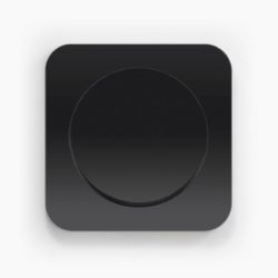 Berker R.1 Black switch