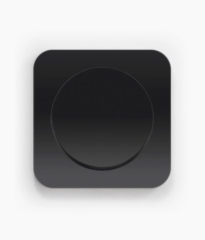 Berker R.1 Black switch