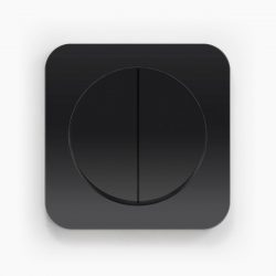 Berker R.1 Black switch