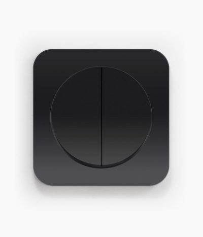 Berker R.1 Black switch