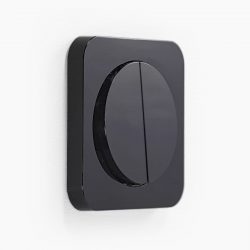 Berker R.1 Black switch