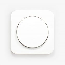 Berker R.1 White light switch