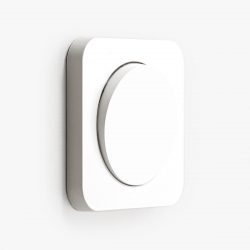 Berker R.1 White light switch