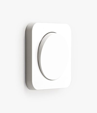 Berker R.1 White light switch