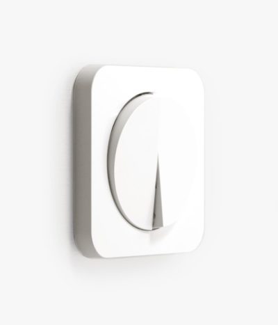 Berker R.1 White light switch