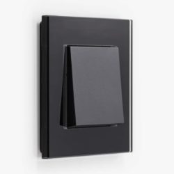 GIRA Esprit Black Glass light switch