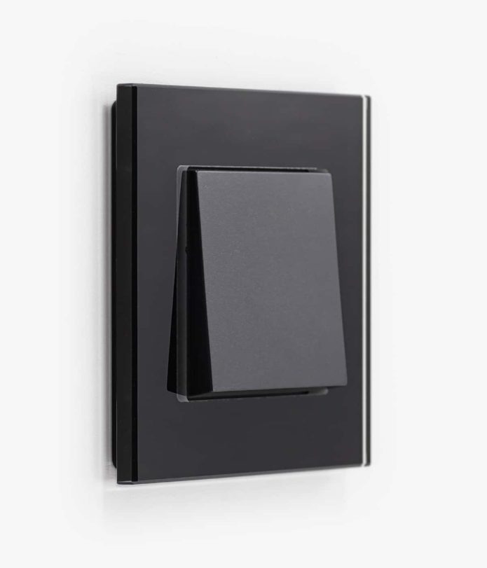 GIRA Esprit Black Glass light switch
