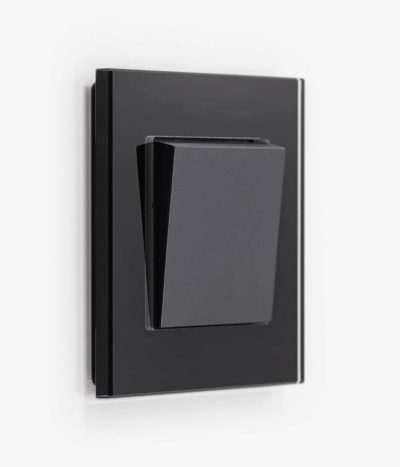 GIRA Esprit Black Glass light switch