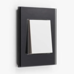 GIRA Esprit Black Glass light switch