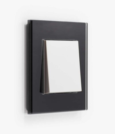 GIRA Esprit Black Glass light switch