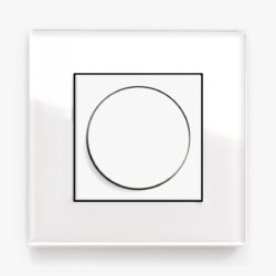 GIRA Esprit White Glass dimmer switch