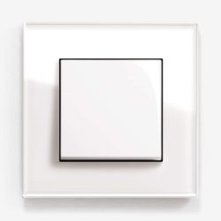 GIRA Esprit White Glass light switch
