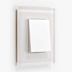 GIRA Esprit White Glass light switch
