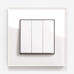 GIRA Esprit White Glass light switch