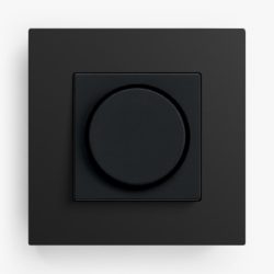 Gira Esprit Linoleum Plywood Anthracite Dimmer