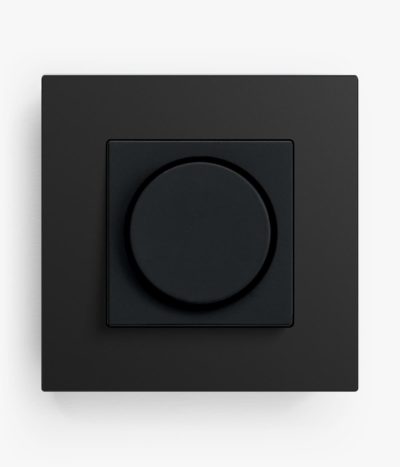 Gira Esprit Linoleum Plywood Anthracite Dimmer