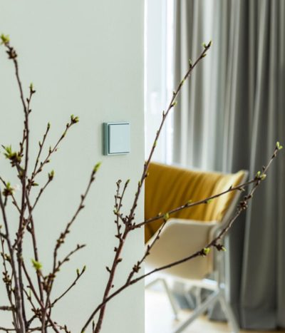 Jung Les Couleurs Vert Anglais light switch on wall