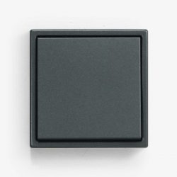 Jung LS990 Anthracite light switch
