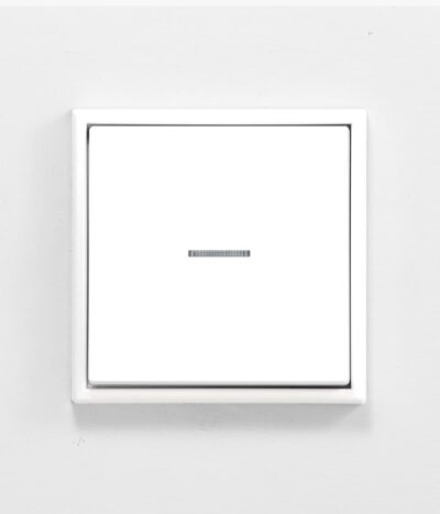 Jung LS990 White isolator switch with light